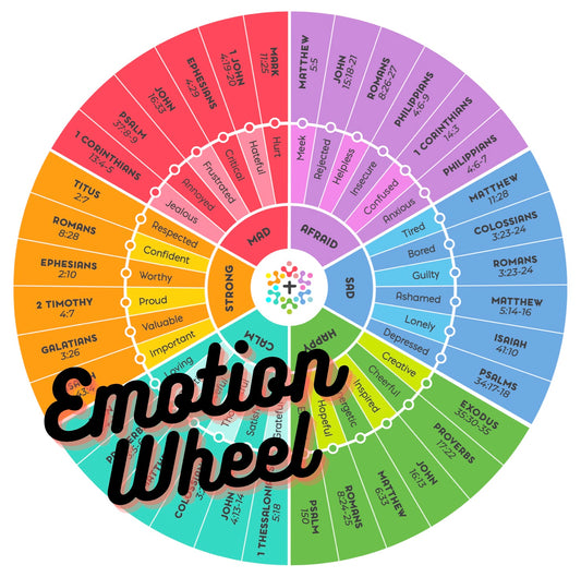 Peel & Stick Emotion Wheel [Jumbo Size-5 Inch Circle] + FREE SHIPPING