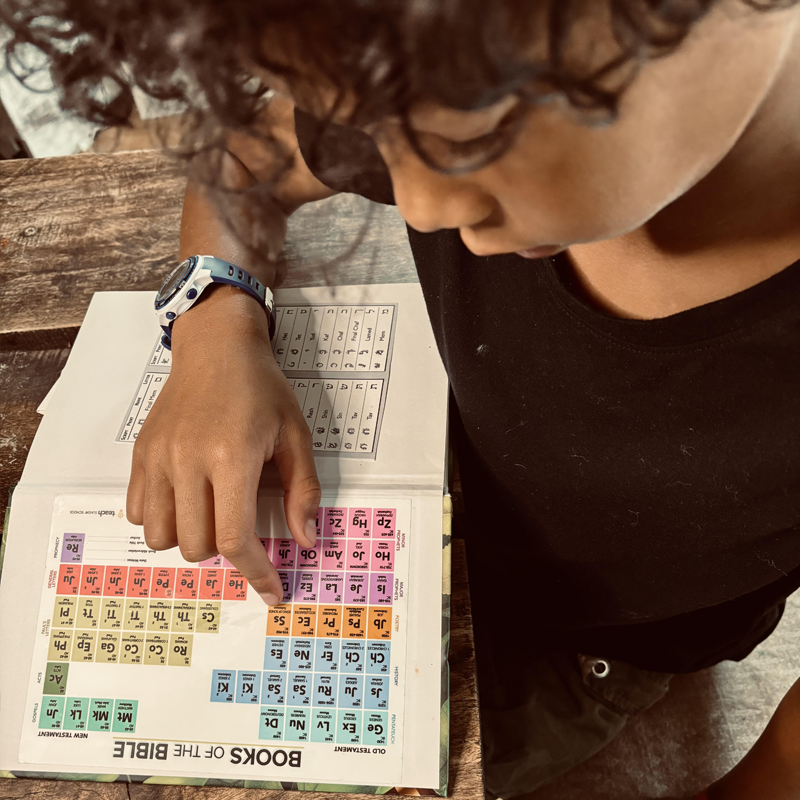 Peel & Stick Bible Periodic Table Bookplate [Jumbo Size- 5x7 Inches]